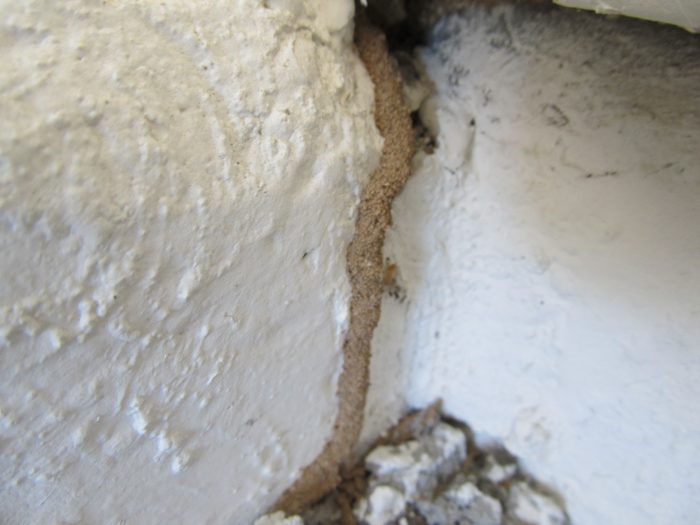 Signs of termites in Phoenix, Az - Termite tube on stemware