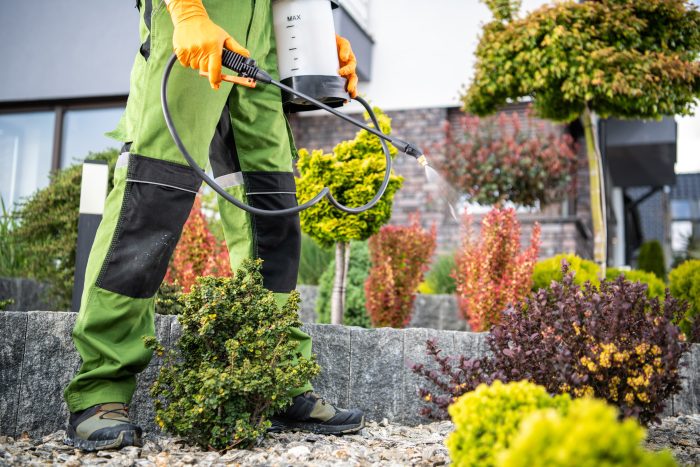 Eco Friendly Exterminator in Phoenix AZ