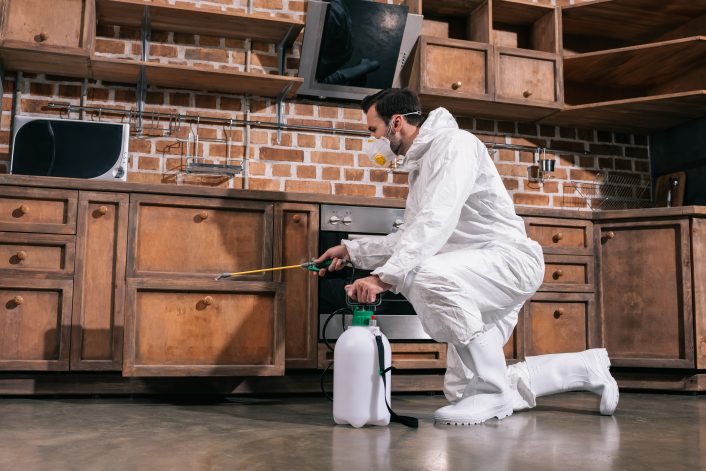 Eco Friendly Pest Control Service