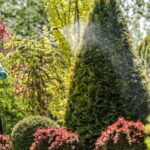 Eco-Friendly Pest Control