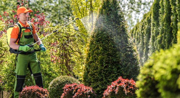 Eco-Friendly Pest Control