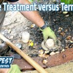 Liquid Soil Termite Treatment Versus Termite Baiting Phoenix AZ