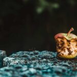Arizona’s Most Common House Bugs | Bill’s Pest and Termite