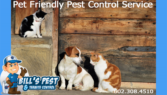 Best Pet Friendly Pest Control Service Phoenix AZ