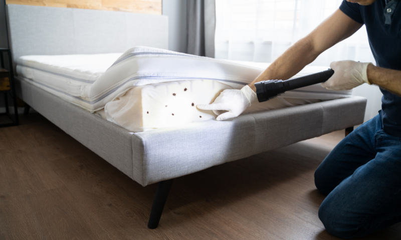How to Check A Hotel Room for Bedbugs