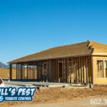 The Importance of New Construction Termite Treatment Services in Arizona