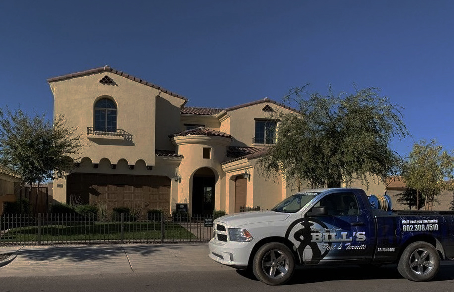 Is winter pest control necessary in Phoenix Arizona