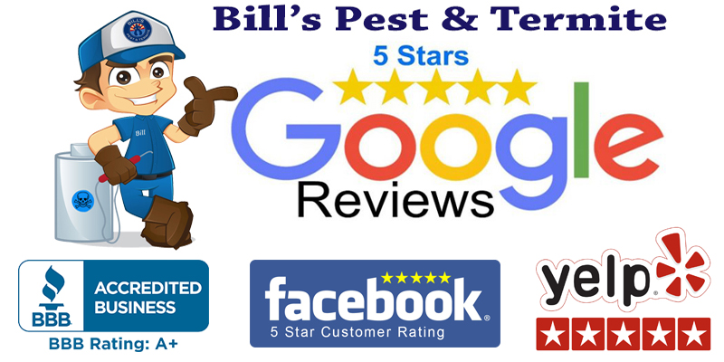 Best Pest Control Reviews - Bill's Pest Termite Control