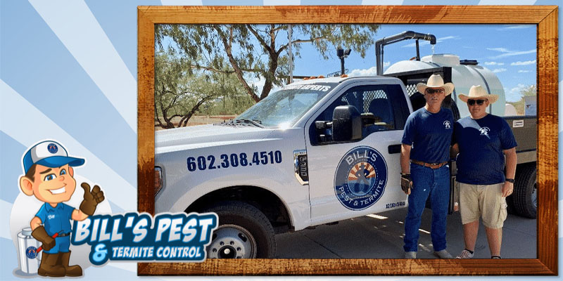 Why You Need Termite Control or Termite Treatment Services When You Discover Termites