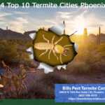 2024 Top 10 Termite Cities Phoenix Az