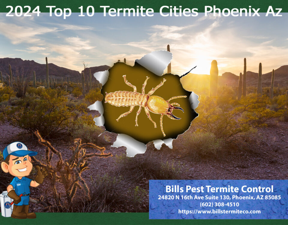 2024 Top 10 Termite Cities Phoenix Az