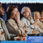 Can you get Bed Bugs at a Movie Theater? Bills Pest Termite Control
