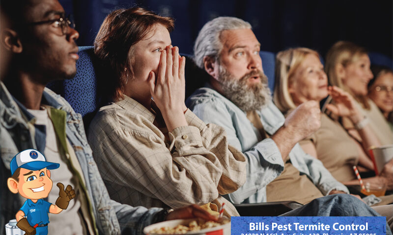 Can you get Bed Bugs at a Movie Theater? Bills Pest Termite Control