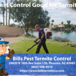 Is Pest Control Good for Termites - Bills Pest Termite Control