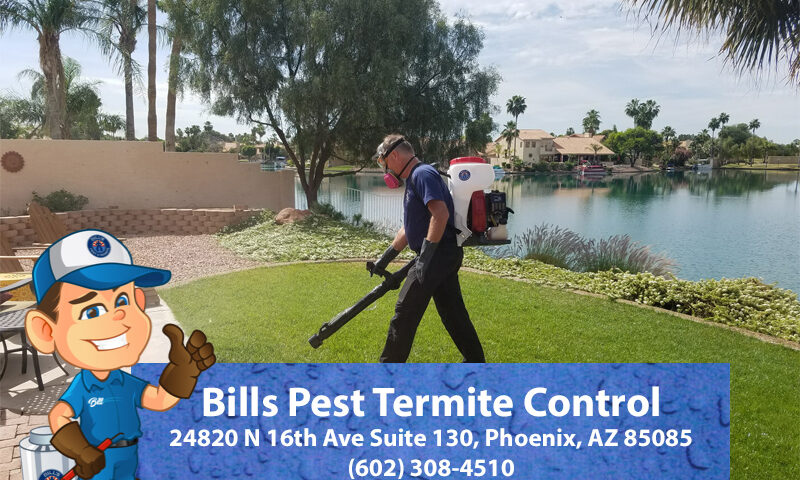 Is Pest Control Good for Termites - Bills Pest Termite Control