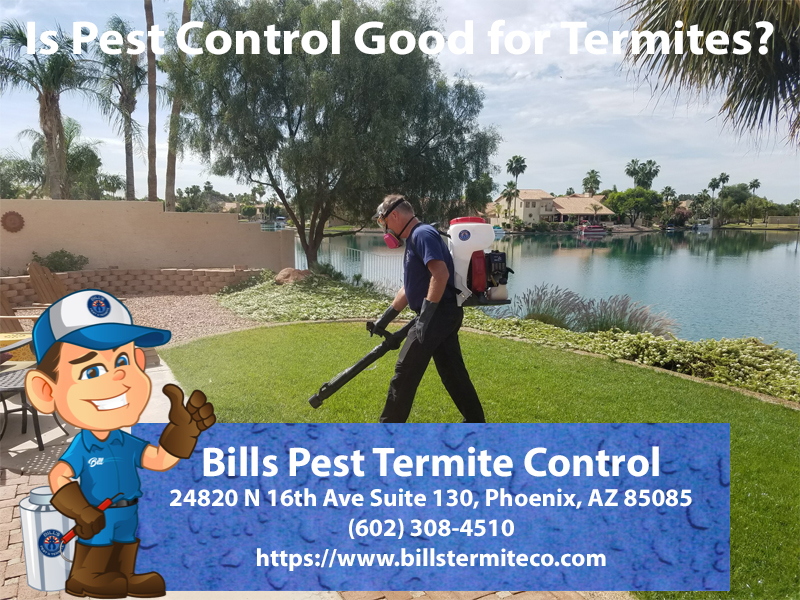 Is Pest Control Good for Termites - Bills Pest Termite Control