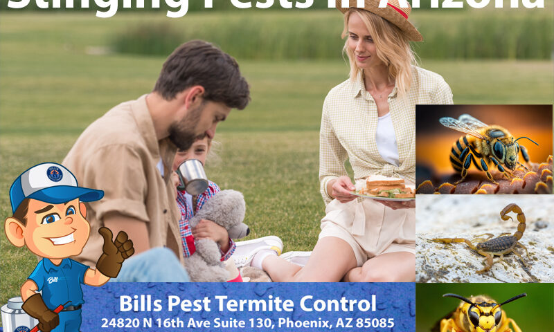 Stinging Pests In Arizona