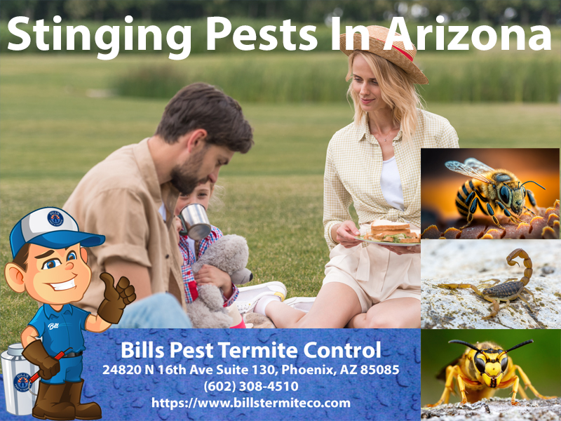 Stinging Pests In Arizona