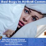 Are Bed Bugs in AirBnB Common?