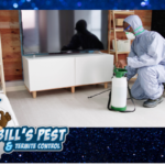 Top Methods to Prevent Termites in Arizona