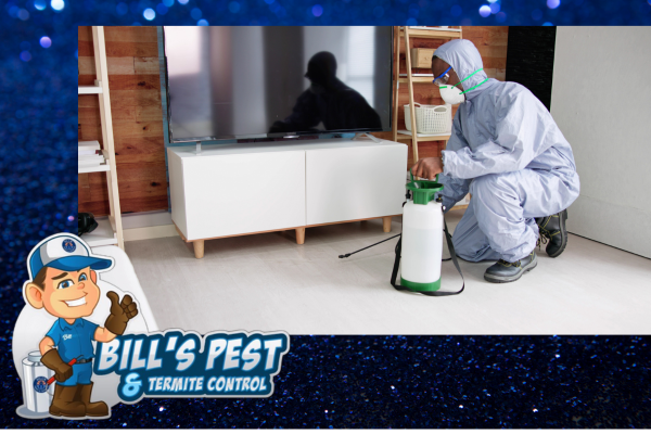 Top Methods to Prevent Termites in Arizona