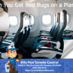 Can you get Bed Bugs on a Plane?