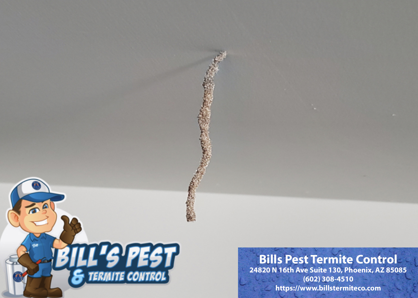 Termites in Bathroom - Best Termite Control Company in Arizona