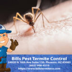 How to Deal with Mosquitoes: Your Essential Guide from Bill's Pest Termite Control