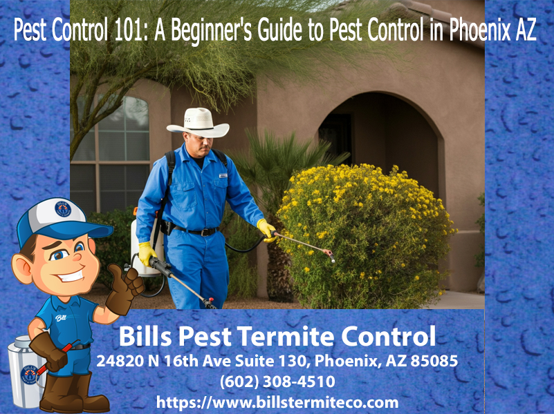 Pest Control 101 A Beginner's Guide to DIY Pest Prevention
