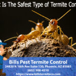 What is the safest type of termite control?