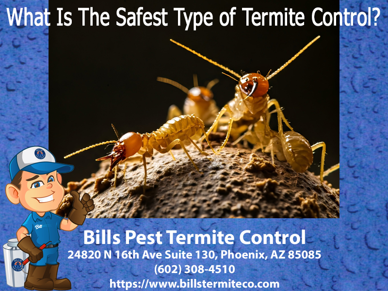 What is the safest type of termite control?