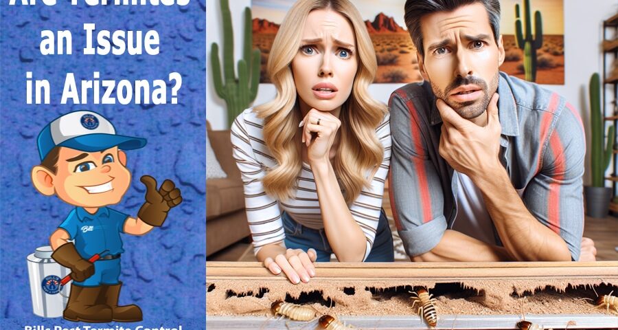 Are Termites and Issue in Arizona?