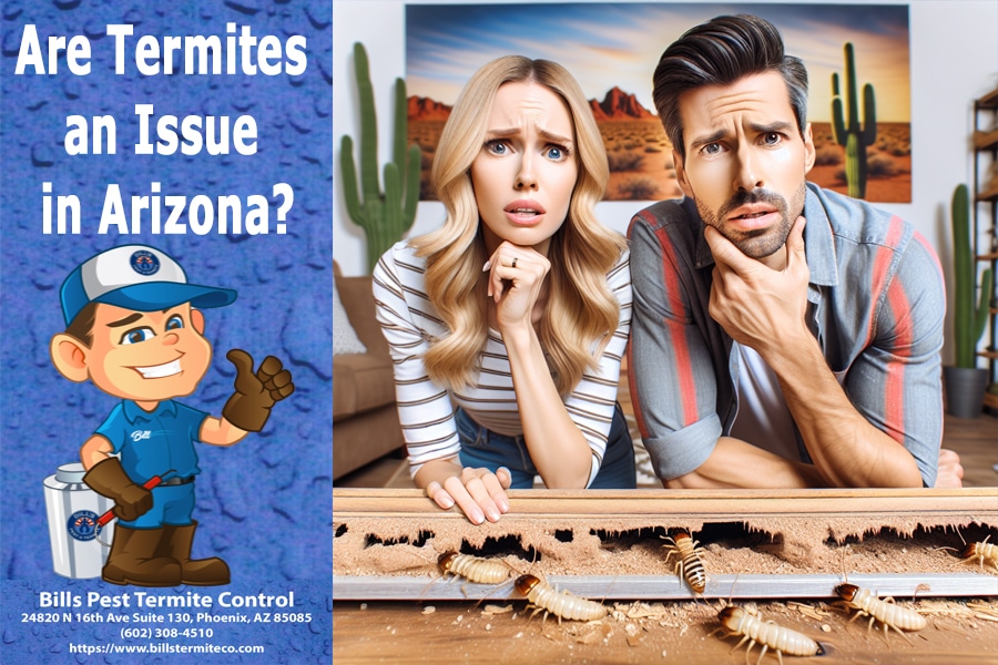 Are Termites and Issue in Arizona?