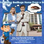 Can you bring BedBugs home from a hotel?