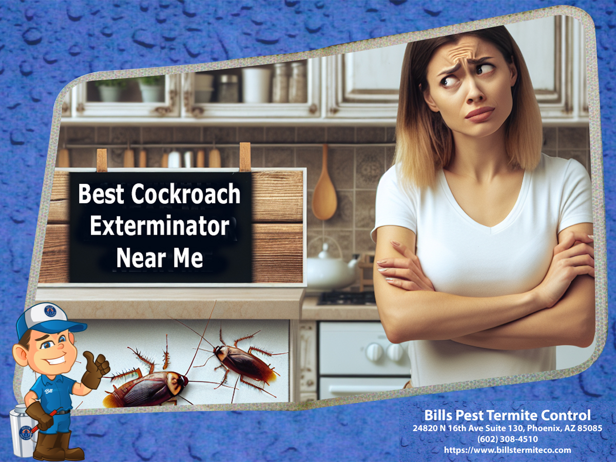 Best Cockroach Exterminator Near Me