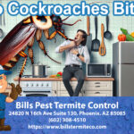 Do Cockroaches Bite?