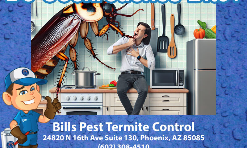 Do Cockroaches Bite?