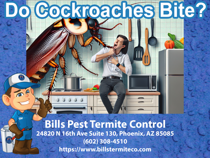 Do Cockroaches Bite?