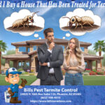 Should I Buy a House That Has Been Treated for Termites?