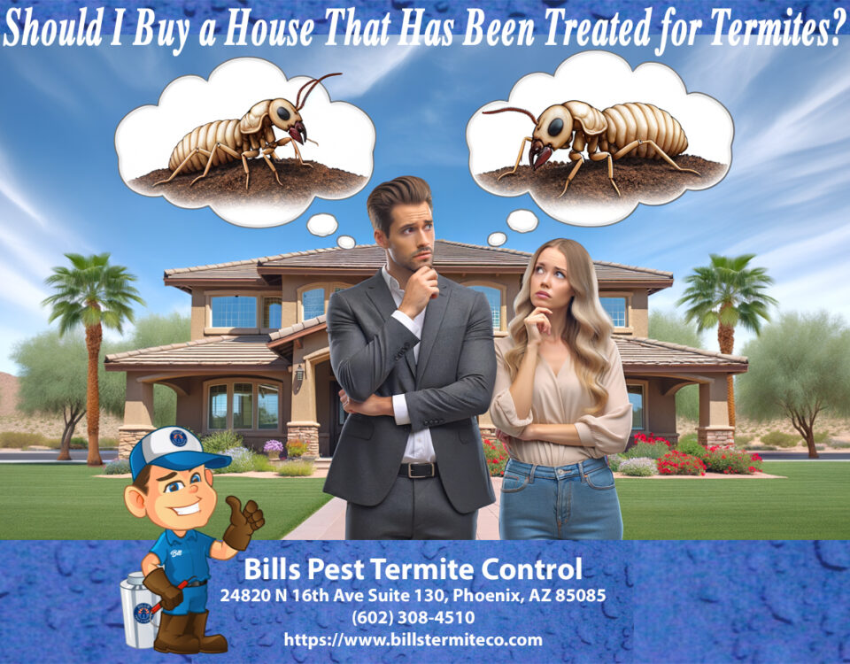 Should I Buy a House That Has Been Treated for Termites?