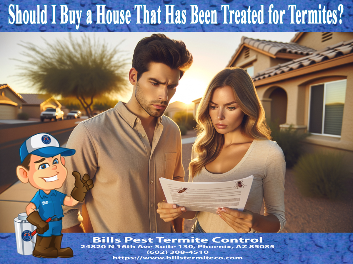 Should I Buy a House That Has Been Treated for Termites?