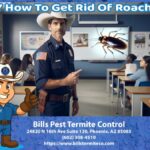 DIY How To Get Rid Of Roaches | Bill's Pest Termite Control