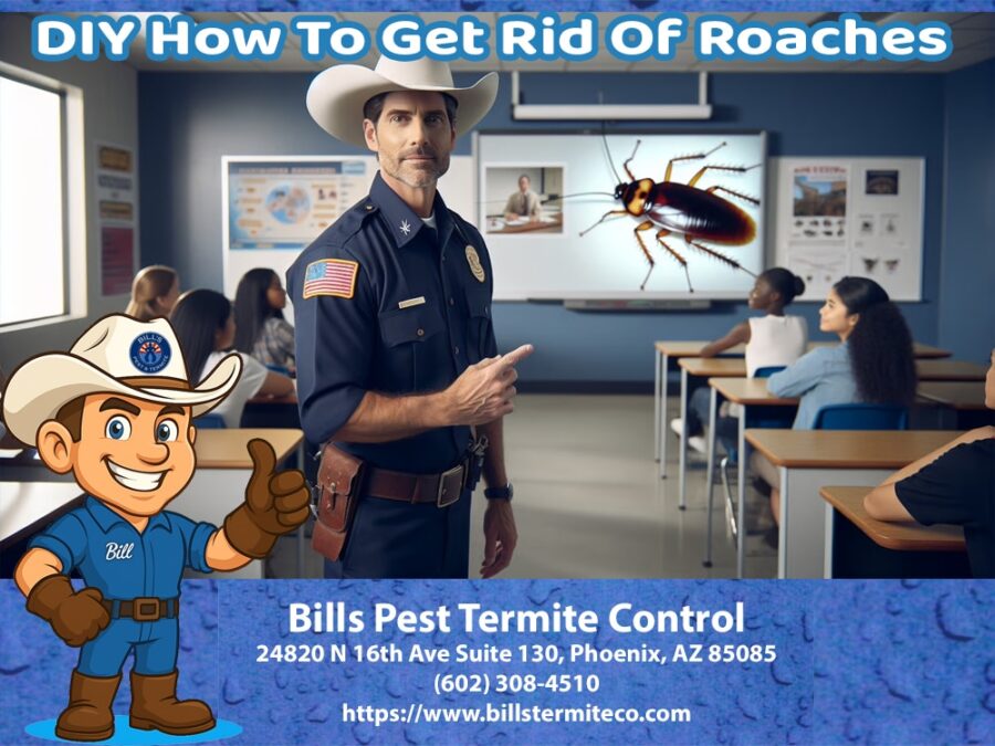 DIY How To Get Rid Of Roaches | Bill's Pest Termite Control