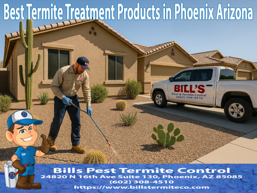 Best Termite Treatment Products in Phoenix Arizona