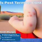 Bed Bug Bites Phoenix AZ | Bill's Pest Control