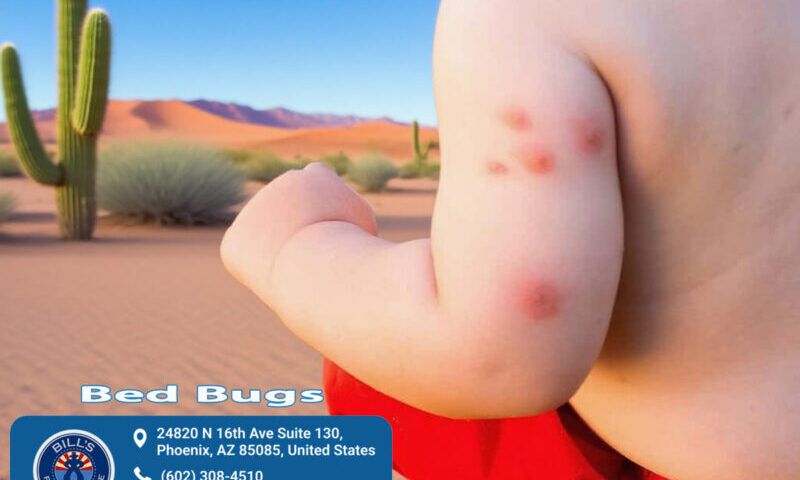 Bed Bug Bites Phoenix AZ | Bill's Pest Control