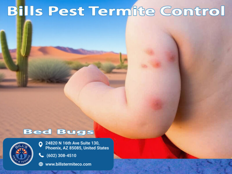 Bed Bug Bites Phoenix AZ | Bill's Pest Control