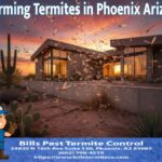 Swarming Termites in Phoenix Arizona