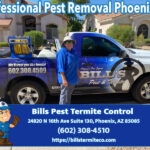 Professional Pest Removal in Phoenix Az