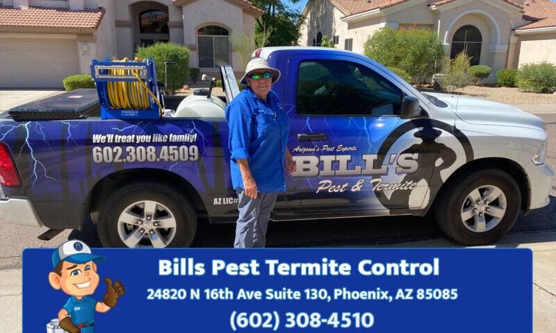 Professional Pest Removal in Phoenix Az